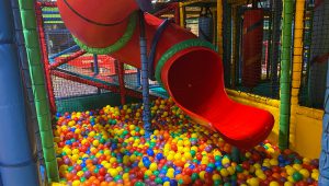 Frankies Fun Factory – Just Pure Fun